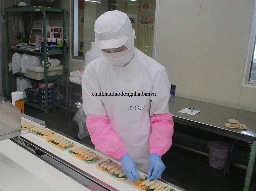 ĐƠN HÀNG: CHẾ BIẾN CHẢ CÁ KAMABOKO THÁNG 2/2026