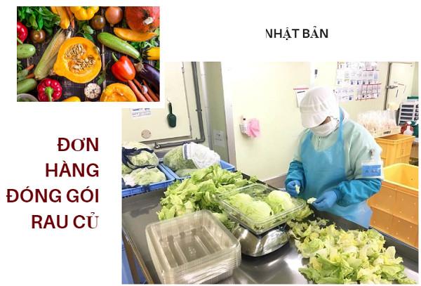 ĐƠN HÀNG CHẾ BIẾN THỰC PHẨM THÁNG 10/2019