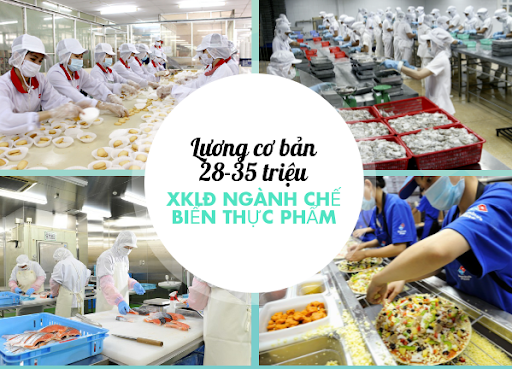 ĐƠN HÀNG CHÉ BIẾN THỰC PHẨM THÁNG 3/2020( ĐƠN 1 NĂM)