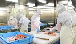 ĐƠN HÀNG: CHẾ BIẾN THỦY SẢN KHÔNG GIA NHIỆT, THỰC PHẨM MUỐI THÁNG 5/2026