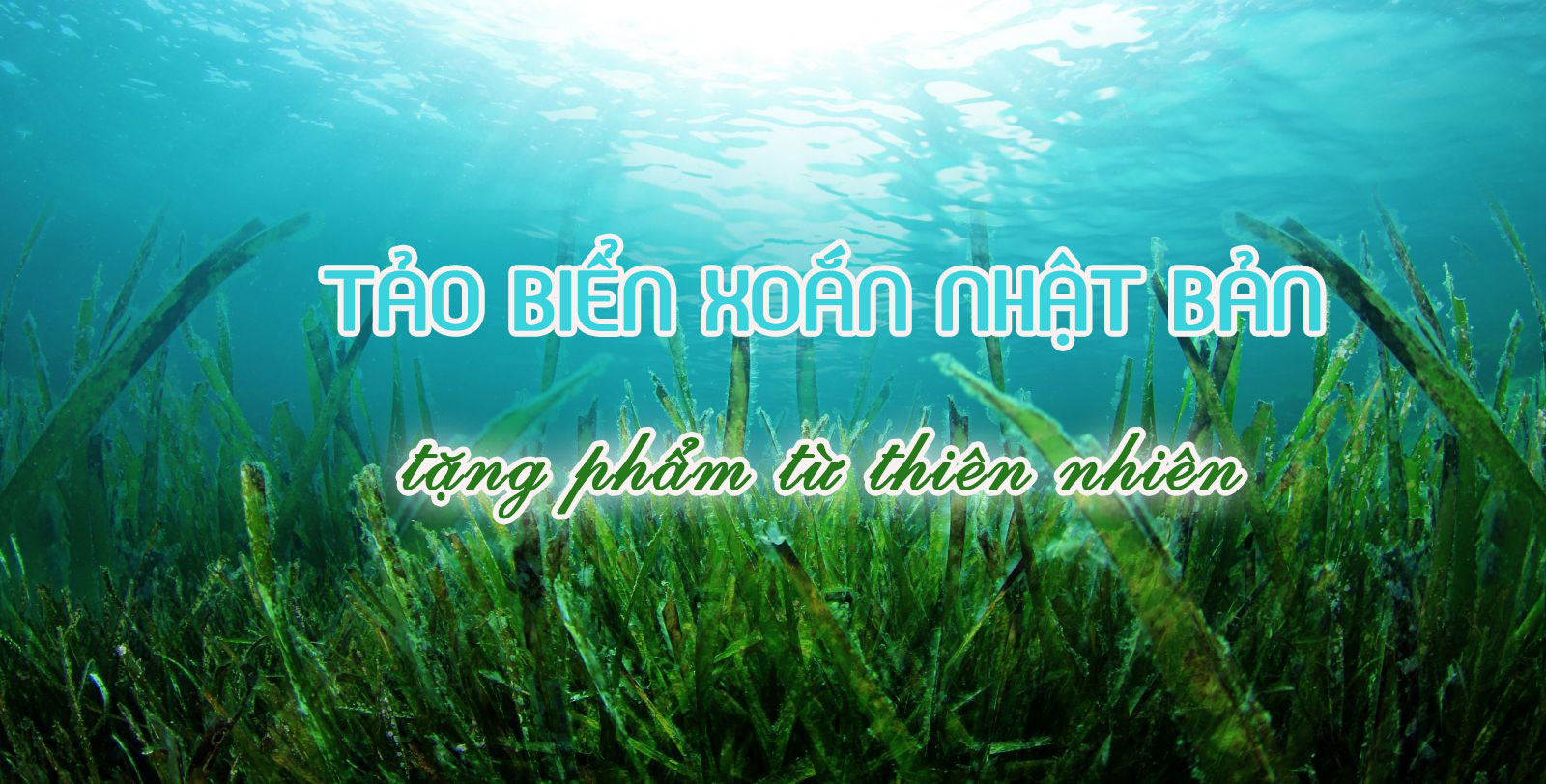 ĐƠN HÀNG CHẾ BIẾN THỦY SẢN THI TUYỂN THÁNG 7/2019