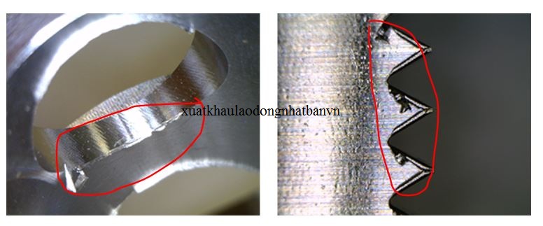ĐƠN HÀNG: ĐỊNH HÌNH VÀ LẤY BAVIA SẢN PHẨM THÁNG 2/2026