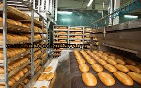 ĐƠN HÀNG GIAI TƯƠNG THÁNG 3/2026