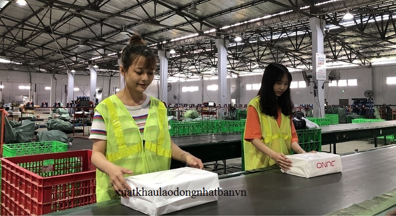 ĐƠN HÀNG: PHÂN LOẠI HÀNG HÓA TRONG CÔNG XƯỞNG THÁNG 3/2026