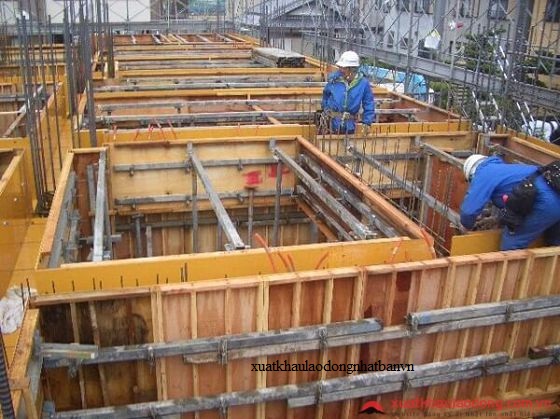 ĐƠN HÀNG: THỢ MỘC CÔT PHA THÁNG 01/2026