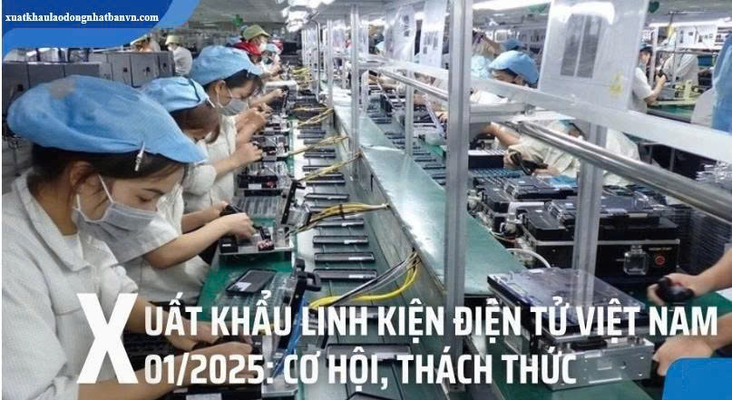 LẮP RÁP LINH KIỆN ĐIỆN TỬ THÁNG 1/2025