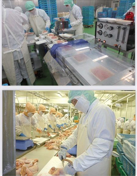 ĐƠN HÀNG CHẾ BIẾN THỰC PHẨM( SƠ CHẾ GIA CẦM) THÁNG 6/2025