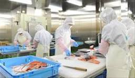 ĐƠN HÀNG: CHẾ BIẾN THỦY SẢN KHÔNG GIA NHIỆT, THỰC PHẨM MUỐI THÁNG 5/2026