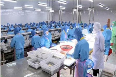 ĐƠN HÀNG CHẾ BIẾN THỦY SẢN KHÔNG GIA NHIỆT, THỰC PHẨM MUỐI THÁNG 7/2025