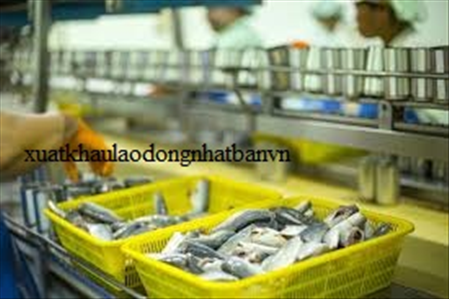 ĐƠN HÀNG: CHẾ BIẾN THỦY SẢN KHÔNG QUA XỬ LÝ NHIỆT THÁNG 3/2026