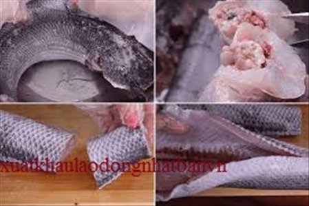 ĐƠN HÀNG: CÔNG VIỆC LÀM CÁ, CẮT VÀ ĐÓNG GÓI CÁ THÁNG 3/2026