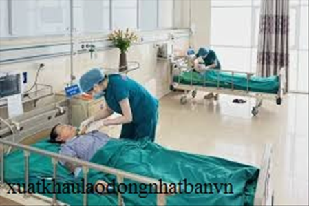 ĐƠN HÀNG: ĐIỀU DƯỠNG THÁNG 3/2026