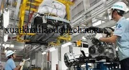 ĐƠN HÀNG: LẮP ĐẶT MÁY MÓC CHO CÁC CÔNG TRÌNH VÀ CÓ LÀM VỀ GIÀN GIÁO THÁNG 2/2026