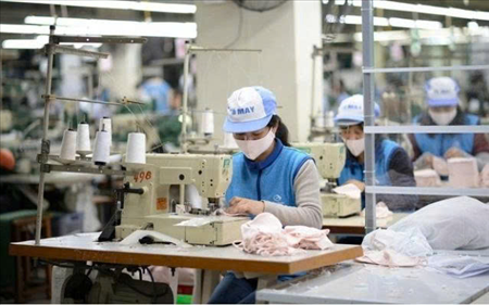 ĐƠN HÀNG MAY QUẦN ÁO THÁNG 7/2025