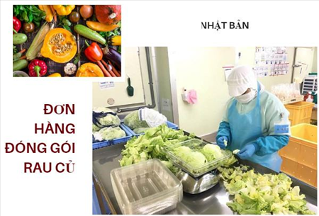 ĐƠN HÀNG NÔNG NGHIỆP THÁNG 11/2019