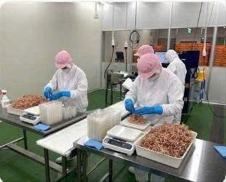 ĐƠN HÀNG: PHÂN CHIA VÀ ĐÓNG GÓI ĐỒ ĂN THÁNG 10/2026