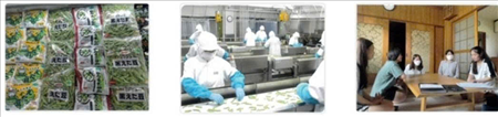 ĐƠN HÀNG PHÂN LOẠI ĐÓNG GÓI ĐẬU TƯƠNG TRONG NHÀ KÍNH  THÁNG 8/2025