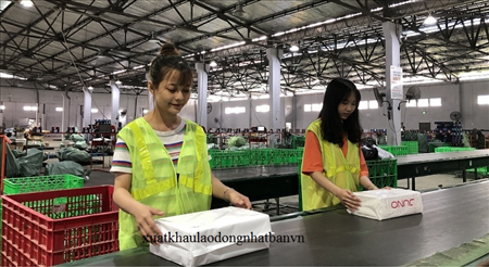 ĐƠN HÀNG: PHÂN LOẠI HÀNG HÓA TRONG CÔNG XƯỞNG THÁNG 3/2026