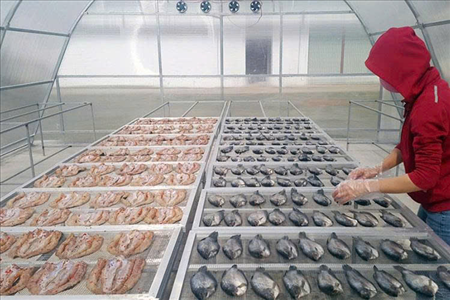 ĐƠN HÀNG: SẢN XUẤT CÁC SẢN PHẨM KHÔ THÁNG 12/2025