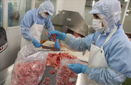 ĐƠN HÀNG: SƠ CHẾ, CHẾ BIẾN THỊT TRONG XƯỞNG THÁNG 4/2026