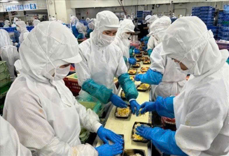 ĐƠN HÀNG: SƠ CHẾ, ĐÓNG GÓI THỦY SẢN THÁNG 09/2026