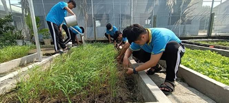 ĐƠN HÀNG: TRỒNG CHĂM SÓC, THU HOẠCH CÁC LOẠI RAU THÁNG 07/2026