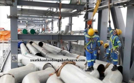 ĐƠN HÀNG XÂY DỰNG ĐƯỜNG ỐNG ,ĐÀO,LÁT THÁNG 3/2025