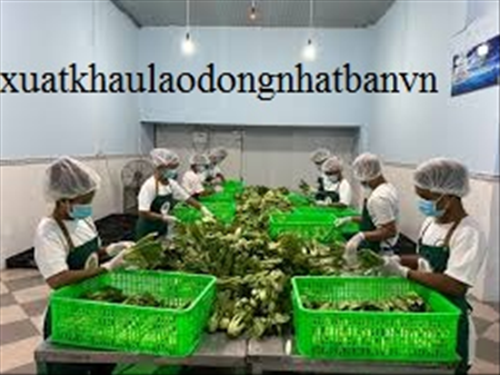 XUẤT KHẨU LAO ĐỘNG ĐÀI LOAN ĐƠN HÀNG DAN KIET