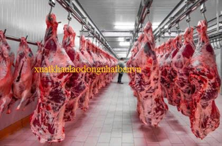 XUẤT KHẨU LAO ĐỘNG HI LẠP ĐƠN HÀNG THỰC PHẨM