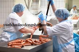 XUẤT KHẨU LAO ĐỘNG CHLB ĐỨC ĐƠN HÀNG KỸ THUẬT VIÊN CHẾ BIẾN THỰC PHẨM