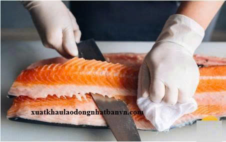 XUẤT KHẨU LAO ĐỘNG CHLB ĐỨC ĐƠN HÀNG PHILE CÁ HỒI