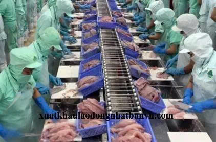 XUẤT KHẨU LAO ĐỘNG CHLB ĐỨC ĐƠN HÀNG THỰC PHẨM