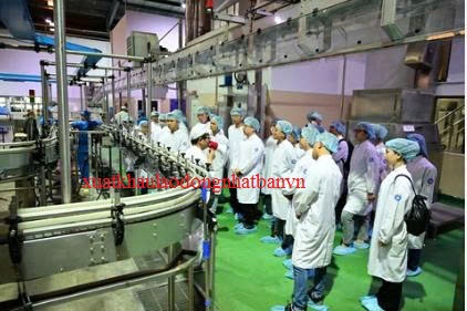 XUẤT KHẨU LAO ĐỘNG HI LẠP ĐƠN HÀNG THỰC PHẨM